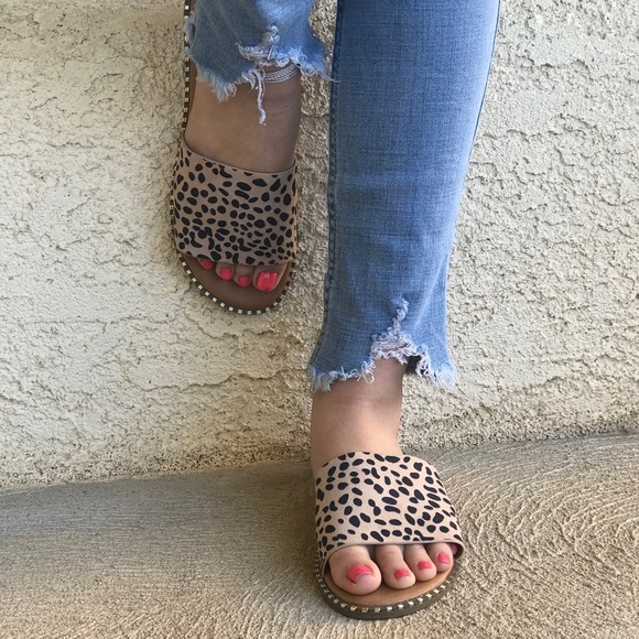 CHEETAH SLIDES - Picture 6 of 7